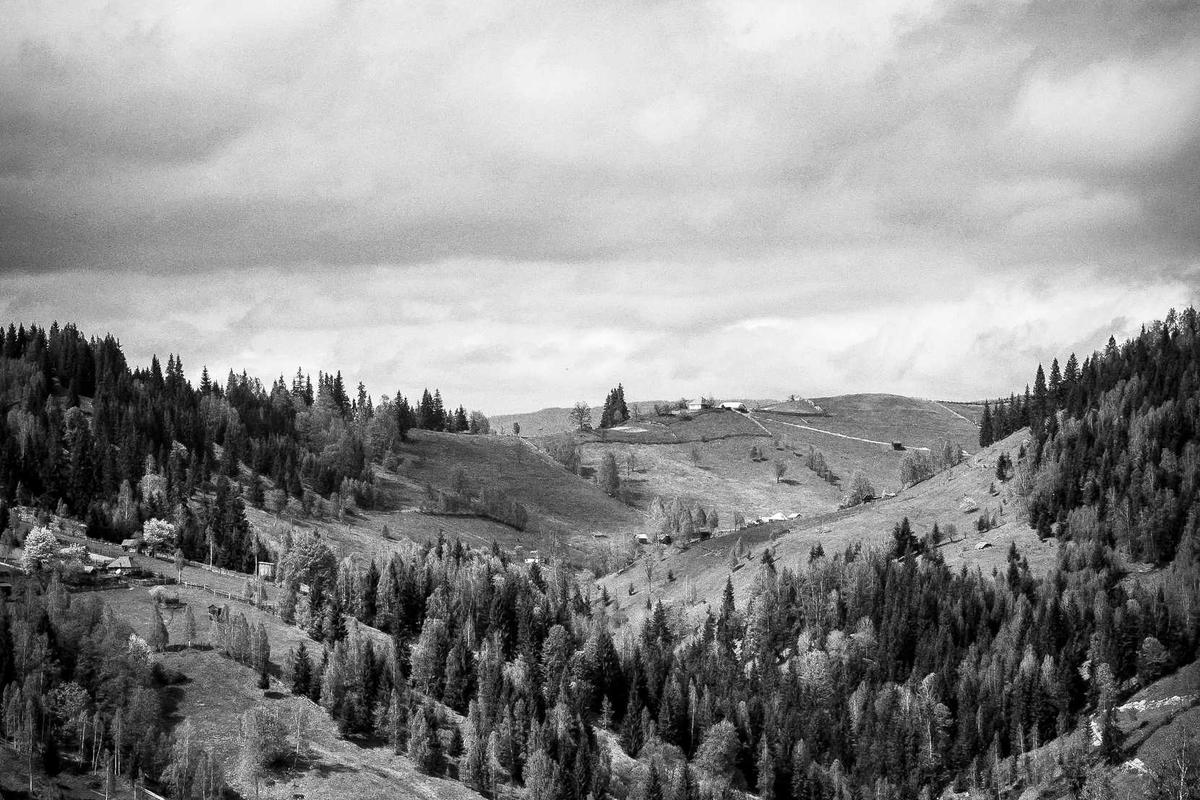 Paper Lanterns